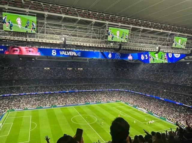 2026世界杯决赛前瞻 比利时与埃及谁能夺冠